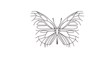 Papillon Papeterie Logo Icon Schmetterling